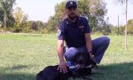 Se non ti porto non parto: il video della Polizia di Stato contro gli abbandoni degli animali - GUARDA IL VIDEO