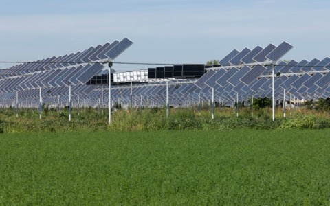Cia Siena esprime contrarietà al progetto agrivoltaico di Rosia: preoccupazioni per l’economia locale