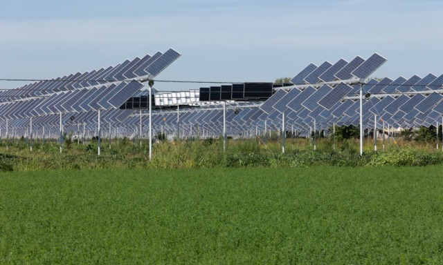 Cia Siena esprime contrarietà al progetto agrivoltaico di Rosia: preoccupazioni per l’economia locale