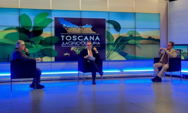 Olivicoltura, un patrimonio da proteggere