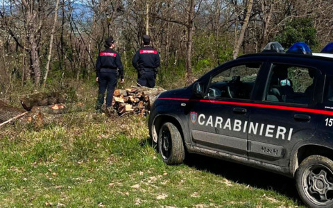 Sequestro di hashish nel bosco di Piancastagnaio: oltre 500 dosi confiscate