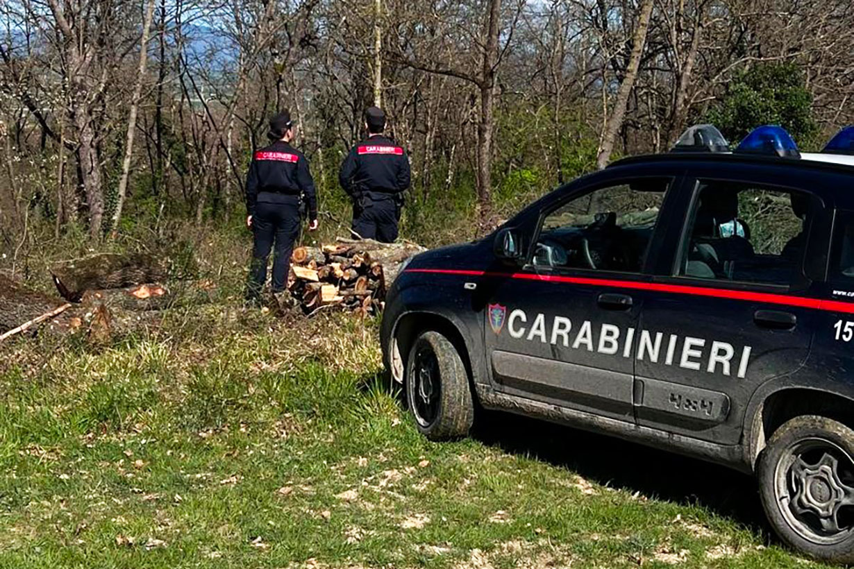 Sequestro di hashish nel bosco di Piancastagnaio: oltre 500 dosi confiscate