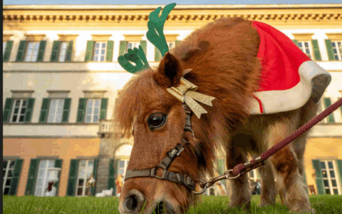Gli eventi del fine settimana in Toscana: Natale e cultura in primo piano