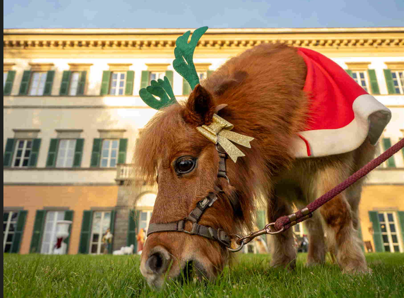 Gli eventi del fine settimana in Toscana: Natale e cultura in primo piano