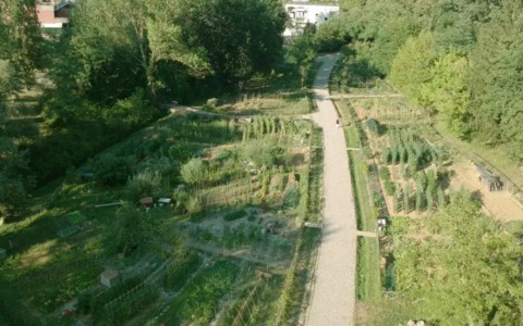 Siena: aperto l’avviso per l’assegnazione degli orti urbani San Miniato