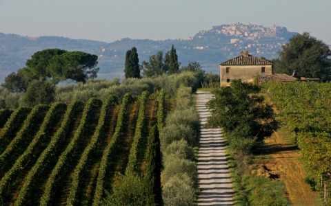 Valdichiana2025: Un dicembre colmo di eventi culturali e festivi