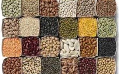 Filiera delle leguminose da granella: opportunità e sfide