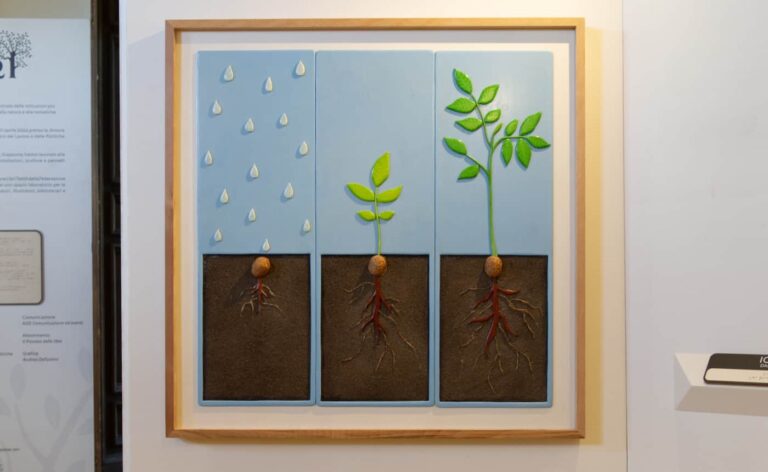 Storie sulle dita: alberi. A Palazzo Chigi una mostra multisensoriale per tutti