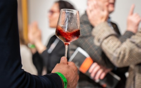 Sei incontri per esplorare Chianti e Brunello: un’opportunità gratuita nel mondo del vino