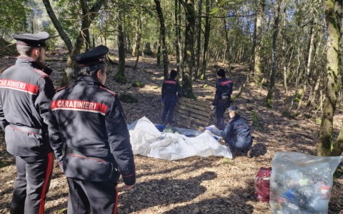 Smantellato un insediamento per lo spaccio alla Celsa