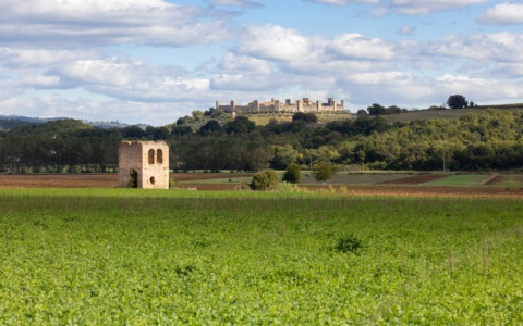 Operazione Congractus: il Comune di Monteriggioni interviene sulle infiltrazioni criminali